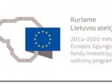 2016 m. vasario 9 d. (antradienį) 18.00 val. Rokiškio miesto vietos veiklos grupė organizuoja konsultaciją