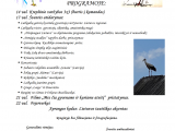 Rudeninės gandrinės 